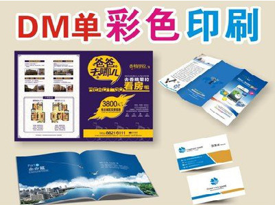 嵩明单页印刷，色彩搭配简单。